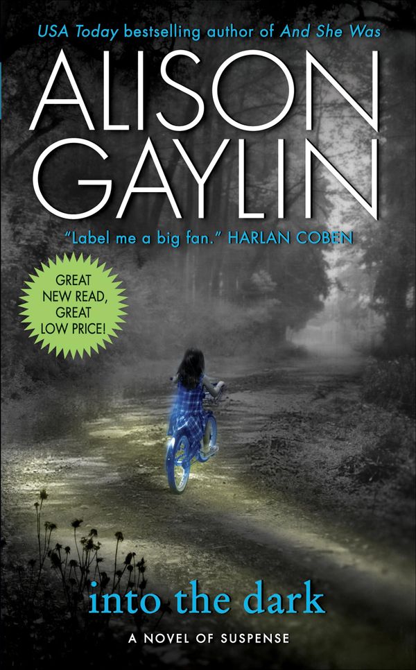 Into the Dark cover
