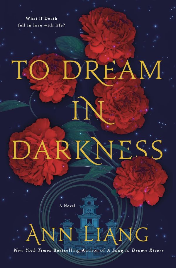 To Dream in Darkness Book Cover