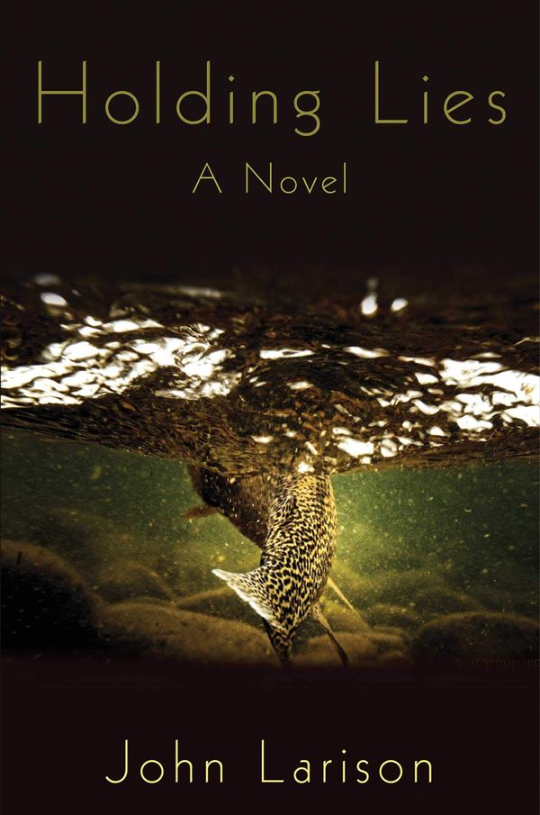 Holding Lies Book Cover