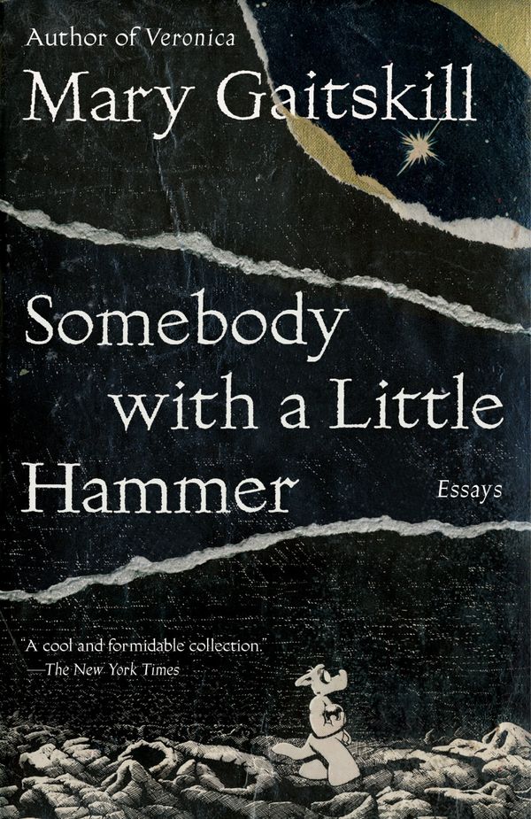 Somebody with a Little Hammer Book Cover