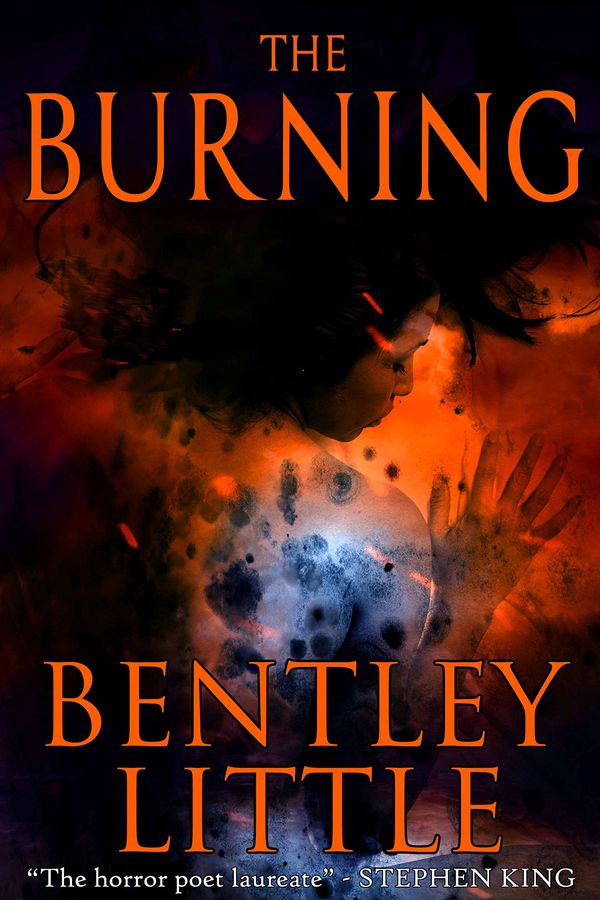 The Burning Book Cover