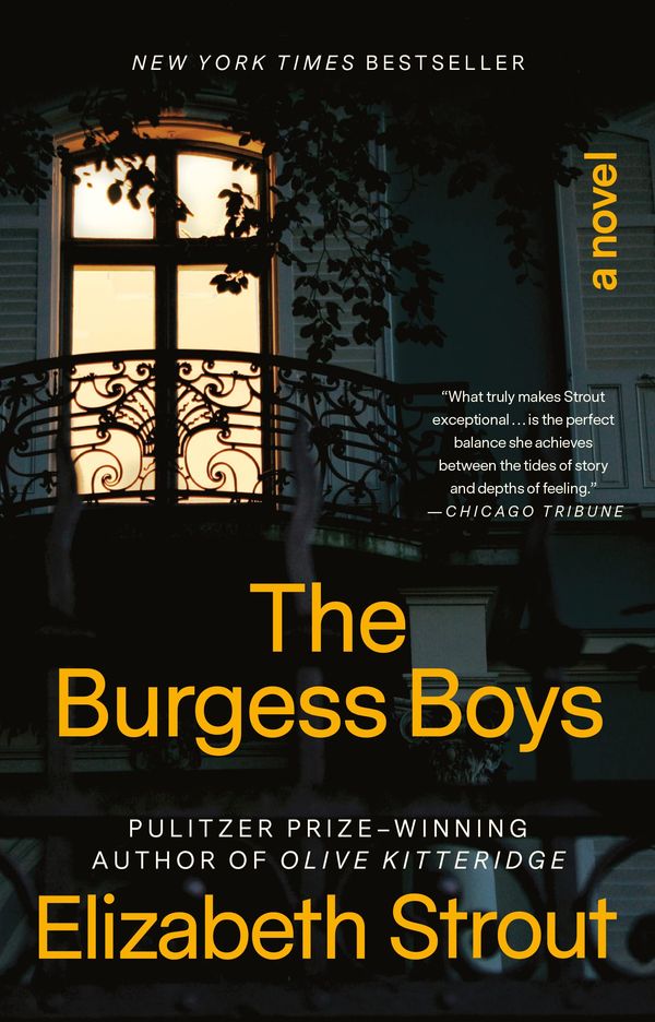 The Burgess Boys Book Cover
