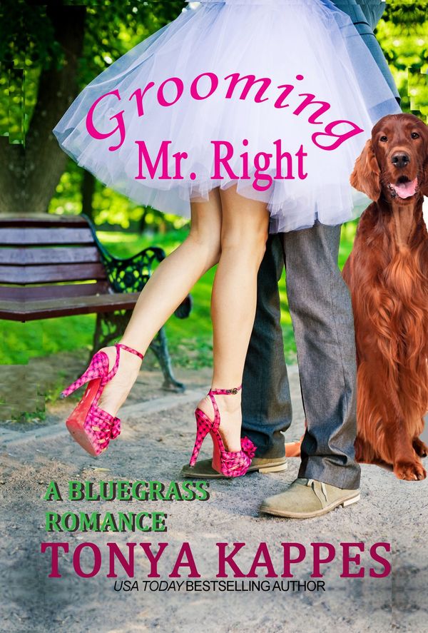 Grooming Mr. Right cover