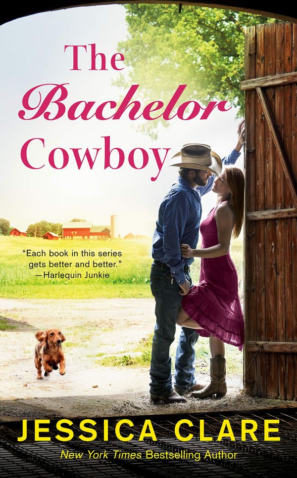 The Bachelor Cowboy Book Cover