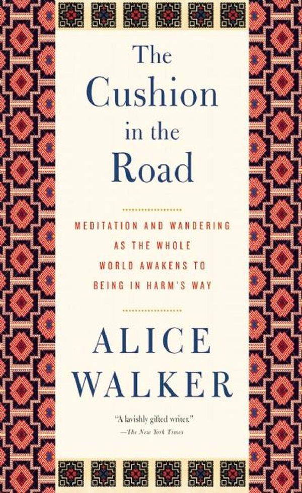 The Cushion in the Road Book Cover