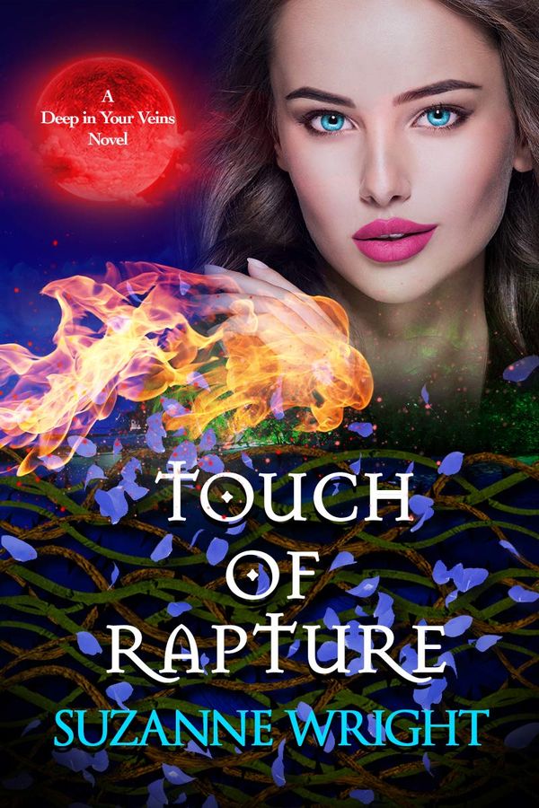 Touch of Rapture Book Cover