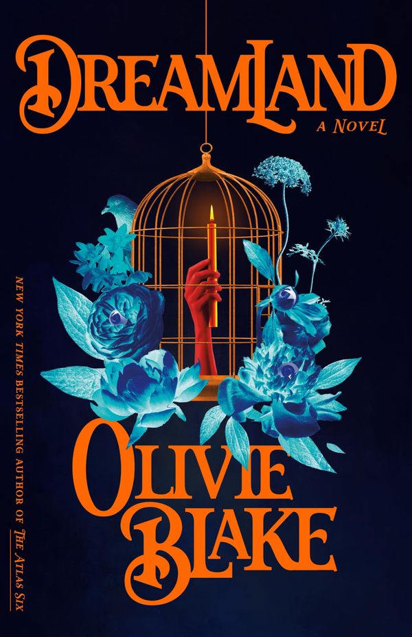 Dreamland Book Cover
