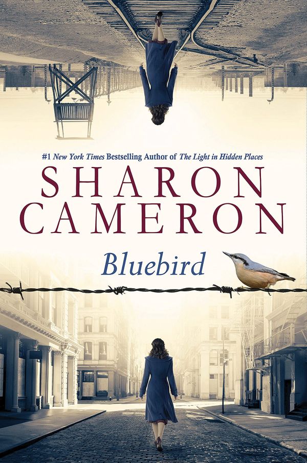Bluebird Book Cover