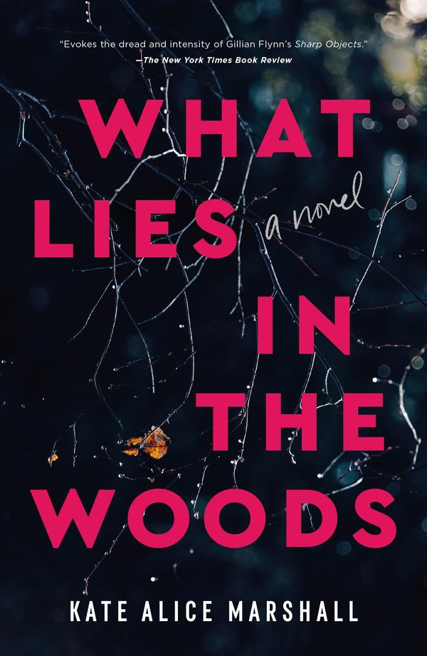 What Lies in the Woods Book Cover