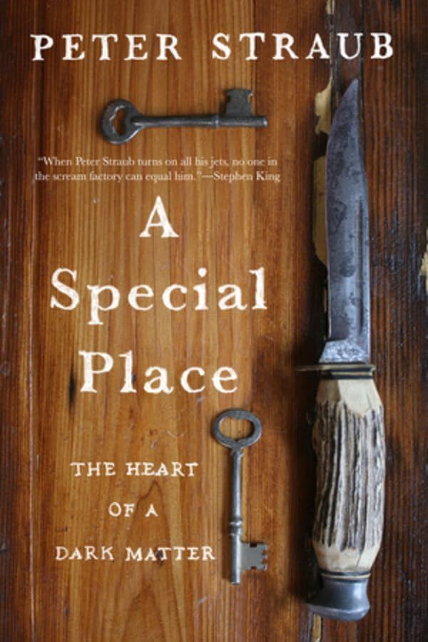A Special Place: The Heart of a Dark Matter Book Cover
