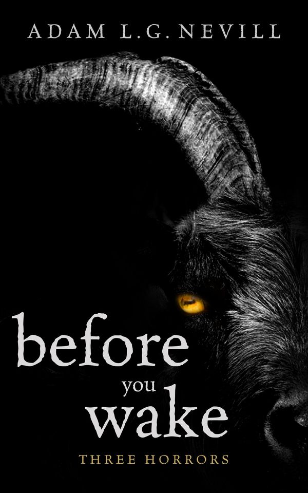 Before You Wake Book Cover