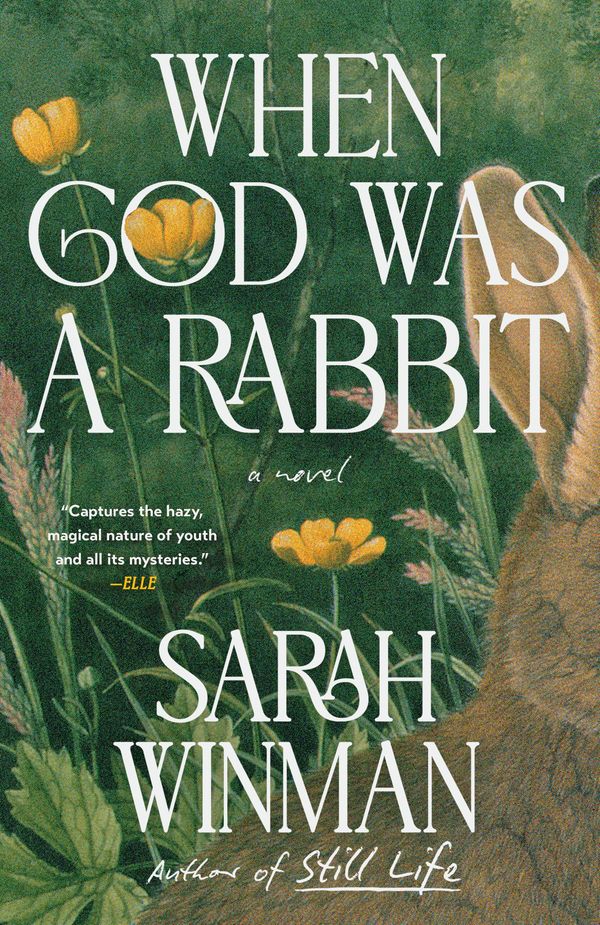 When God Was a Rabbit Book Cover