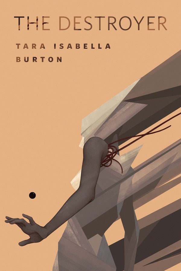 The Destroyer Book Cover